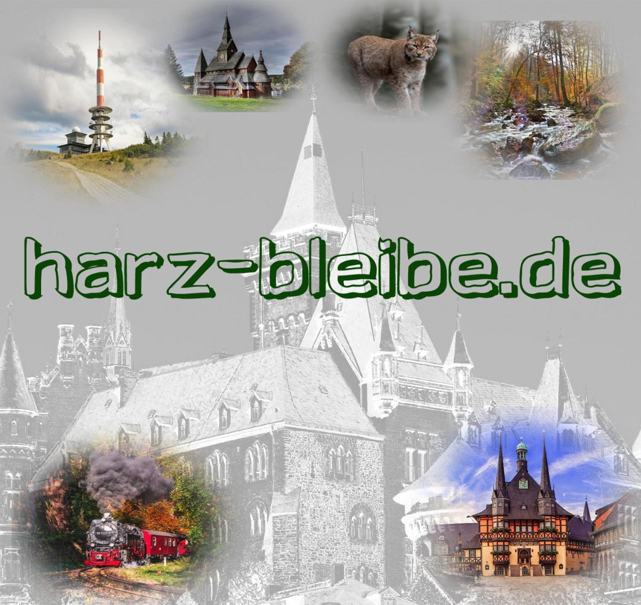 Apartamento Harz-Bleibe Wernigerode Exterior foto